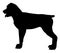 Silhouette of a rottweiler breed dog vector