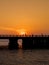 Silhouette of runners on bridge