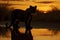 The silhouette of a sabertoothed tiger its majestic mane reflecting the last rays of the setting sun.. AI generation