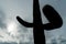 Silhouette of a saguaro cactus