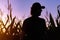 Silhouette of satisfied male farmer standing on cornfield