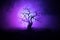 Silhouette of scary Halloween tree on dark foggy toned background with moon on back side.