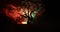 Silhouette of scary Halloween tree with horror face on dark foggy toned background with moon on back side. Scary horror tree with