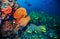 Silhouette of scuba diver exploring coral reef