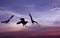 Silhouette seagulls flying over sea