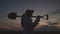 silhouette of a senior farmer with a shovel at sunset, farming, small business of a gardener, the concept of an american