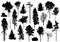 Silhouette of set different trees. Collection of coniferous evergreen forest trees, deciduous trees, bare trees. Vector