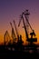 Silhouette of several cranes in a harbor