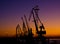 Silhouette of several cranes in a harbor