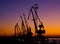 Silhouette of several cranes in a harbor