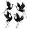 Silhouette or shadow black ink icons of crane birds or herons flying and standing set. Group of storks outline template