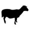 Silhouette sheep ewe domestic livestock farm animal cloven hoofed lamb cattle black color vector illustration flat style image