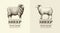 Silhouette sheep, logo template, vector hand drawn illustration.