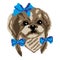 Silhouette of a Shih Tzu breed dog with blue bows. Muzzle dog head drawn squares, pixels. Portrait of a Shih Tzu breed dog