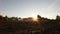 Silhouette shot of a horse rider with dust blowing - sunset, in front of the sun, slow-motion