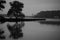Silhouette shot of a peaceful lake with trees with a dramatic and moody background