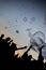 Silhouette shot of people in a bubble party with full of bubbles in a clear blue sky