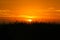 A silhouette shot of tall grass during sunset