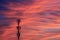 Silhouette signal antenna tower at sunset sky