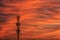 Silhouette signal antenna tower at sunset sky