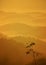 Silhouette of single lonely tree on mountain as background