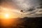 Silhouette of sky diver flies on background of sunset sky