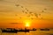 Silhouette Small fishing boat with birds and sunsets