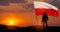 Silhouette of soldier with national flag on background of sunset. Polish Armed Forces.