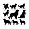 Silhouette Solid Vector Icon Set Of Dog, Breeds, Canine, Pooch, Hound, Puppy, Mutt, Pet, Doggy.