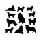 Silhouette Solid Vector Icon Set Of Dog, Breeds, Canine, Pooch, Hound, Puppy, Mutt, Pet, Doggy.