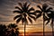 The silhouette of a solitary palm tree against a fiery sunset