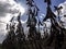 Silhouette of soybean plant on field