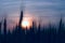 Silhouette spike at the rye field at sunset,