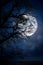 The silhouette of a spooky bare branch halloween tree against a winter blue night sky