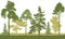 Silhouette of spring forest. Beautiful fir trees, pine, coniferous trees. Vector illustration