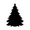 Silhouette spruce tree coniferous flora icon