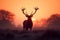 Silhouette of stag peacefully grazes in a tranquil meadow at sunrise