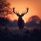 Silhouette of stag peacefully grazes in a tranquil meadow at sunrise