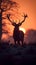 Silhouette of stag peacefully grazes in a tranquil meadow at sunrise