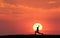 Silhouette of a standing sporty woman practicing yoga