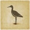 Silhouette of standing stork on vintage background
