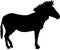 Silhouette of a standing zebra, side view