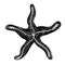 Silhouette of starfish. Marine dweller. Concept of sea and ocean life