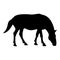 Silhouette steed horse equestrian equine stallion thoroughbred mustang black color vector illustration flat style image