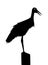 Silhouette of a stork bird sitting on a pillar, 