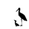 Silhouette of stork with chick