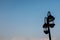 Silhouette street lamp