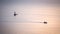 silhouette sunrise of fishery boat sail on calm sea with lighthouse background