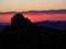 Silhouette Sunset In the Mojave Desert