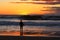 Silhouette Surfer on a misty beach with an amazing sunrise in Japan, Chiba, Katsuura